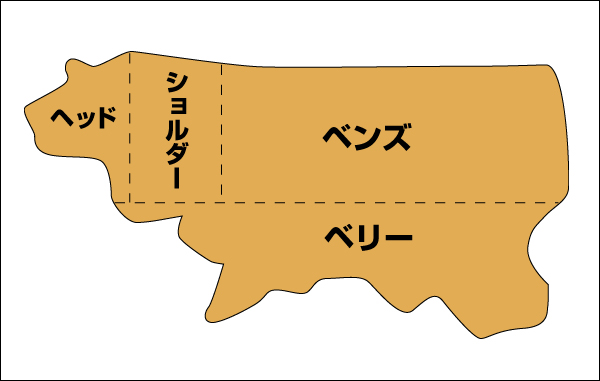 半裁の部位の名称の説明画像